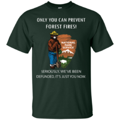 image 1035 247x247px Smokey Bear: Only You Can Prevent Forest Fires T Shirts, Hoodies
