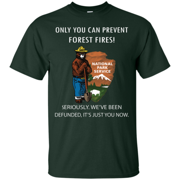 image 1035 600x600px Smokey Bear: Only You Can Prevent Forest Fires T Shirts, Hoodies