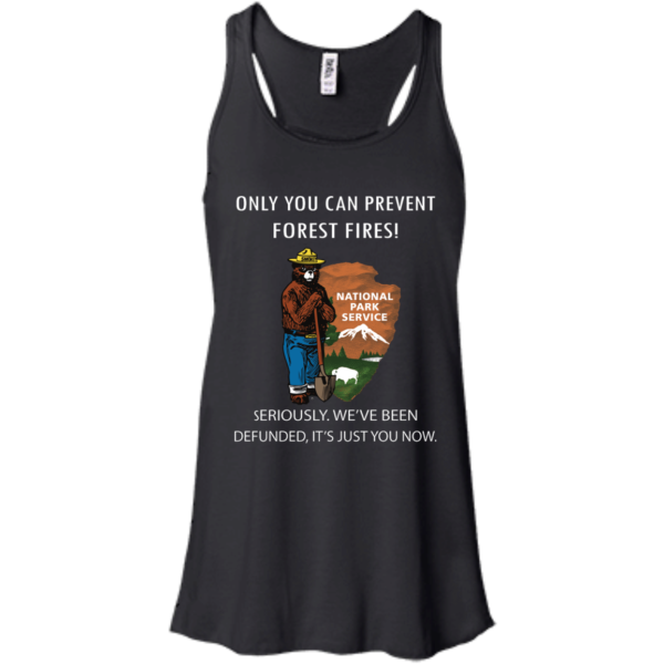 image 1036 600x600px Smokey Bear: Only You Can Prevent Forest Fires T Shirts, Hoodies