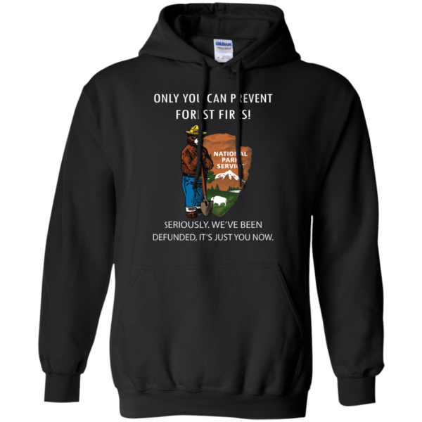 image 1038 600x600px Smokey Bear: Only You Can Prevent Forest Fires T Shirts, Hoodies
