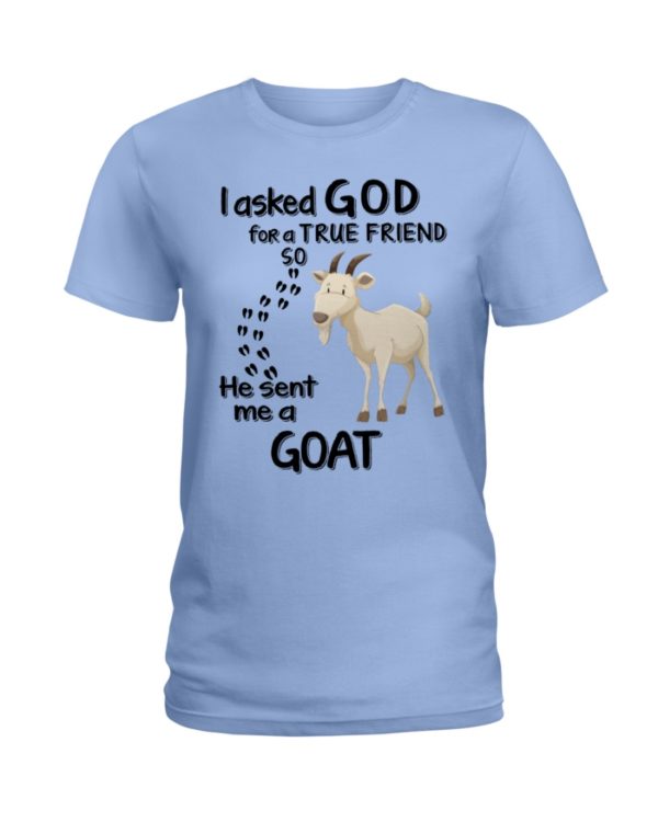 regular 4539 600x750px I Asked God For A True Friend So He Sent Me A Goat Shirt