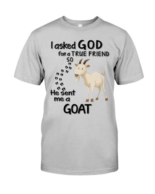 regular 4542 600x750px I Asked God For A True Friend So He Sent Me A Goat Shirt