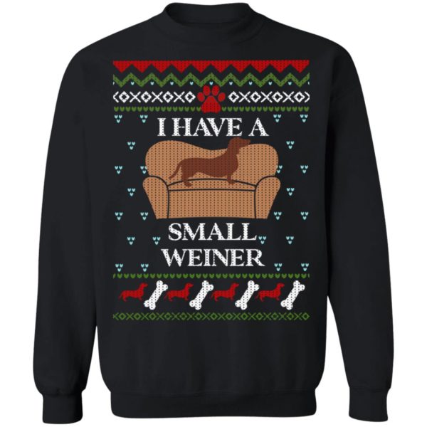 redirect10252021131017 2 600x600px I Have A Small Weiner Dachshund Christmas Shirt