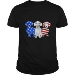 Dachshund Breed Dog America Flag Patriot T - Shirt