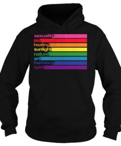 Pride Meaning of Rainbow Colors LGBT Hoodies