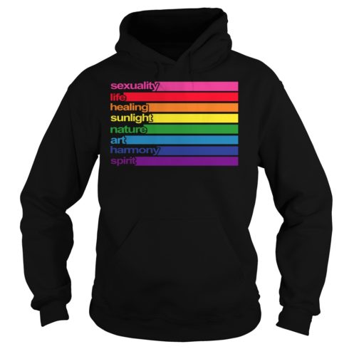 Pride Meaning of Rainbow Colors LGBT Hoodies