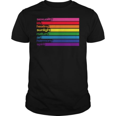 Pride Meaning of Rainbow Colors LGBT T - Shirt