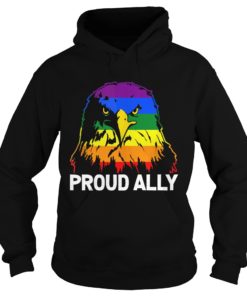 Proud Ally Pride Gay LGBT USA Eagle Hoodies