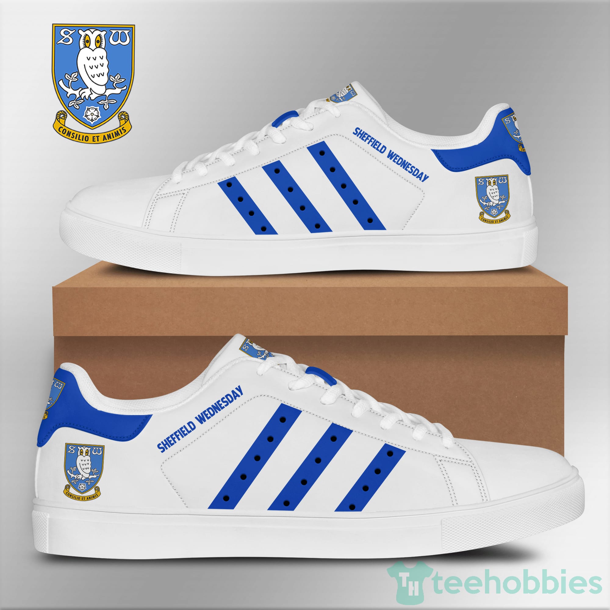 Sheffield Wednesday Light Blue Striped Low Top Skate Shoes Product photo 1