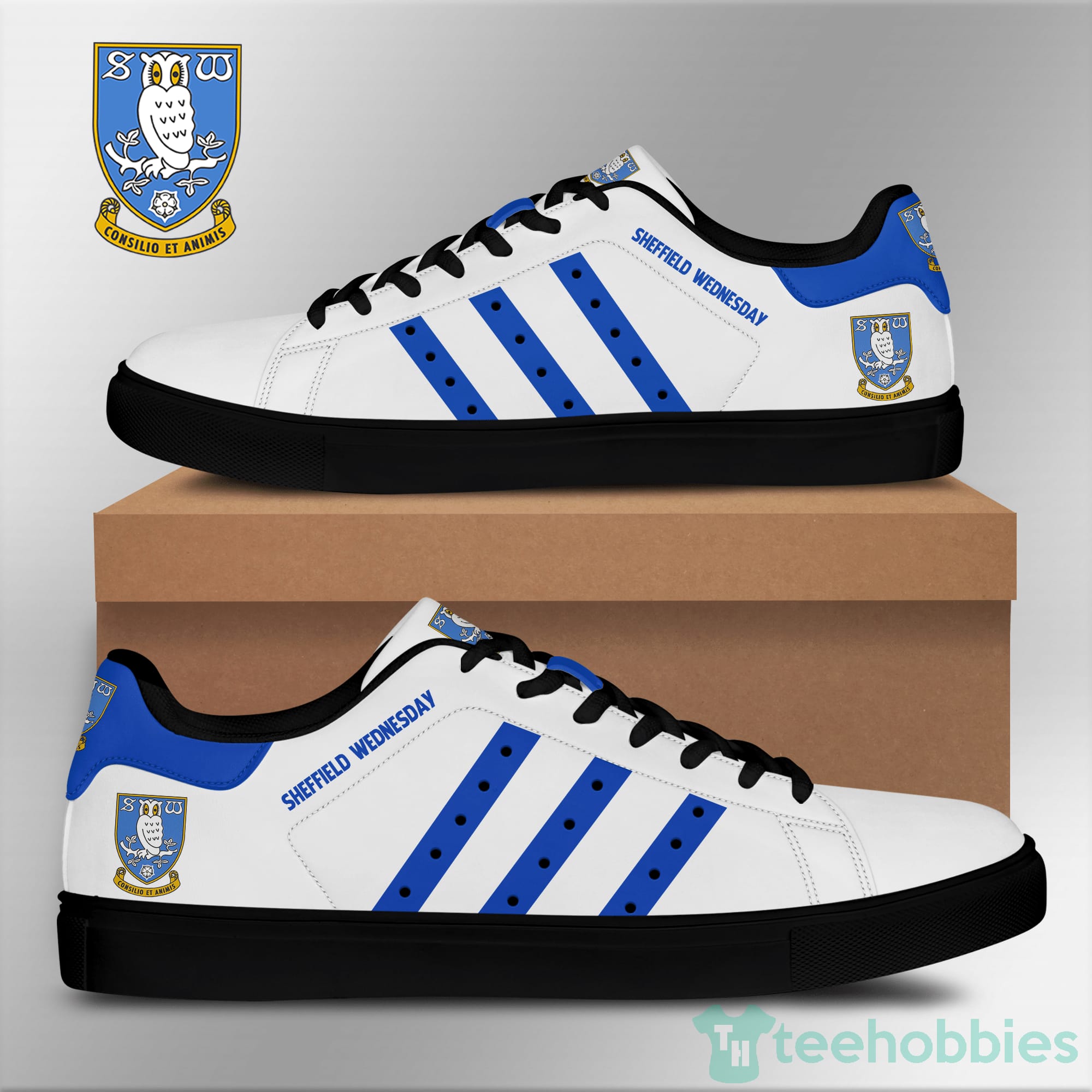 Sheffield Wednesday Light Blue Striped Low Top Skate Shoes Product photo 2