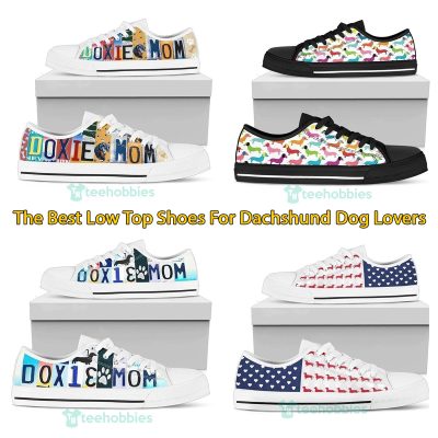 The Best Low Top Shoes For Dachshund Dog Lovers