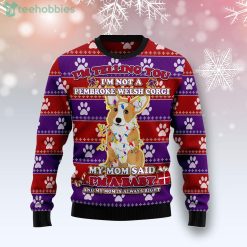 Pembroke Welsh Corgi Baby Christmas Ugly Christmas Sweater Product Photo 1
